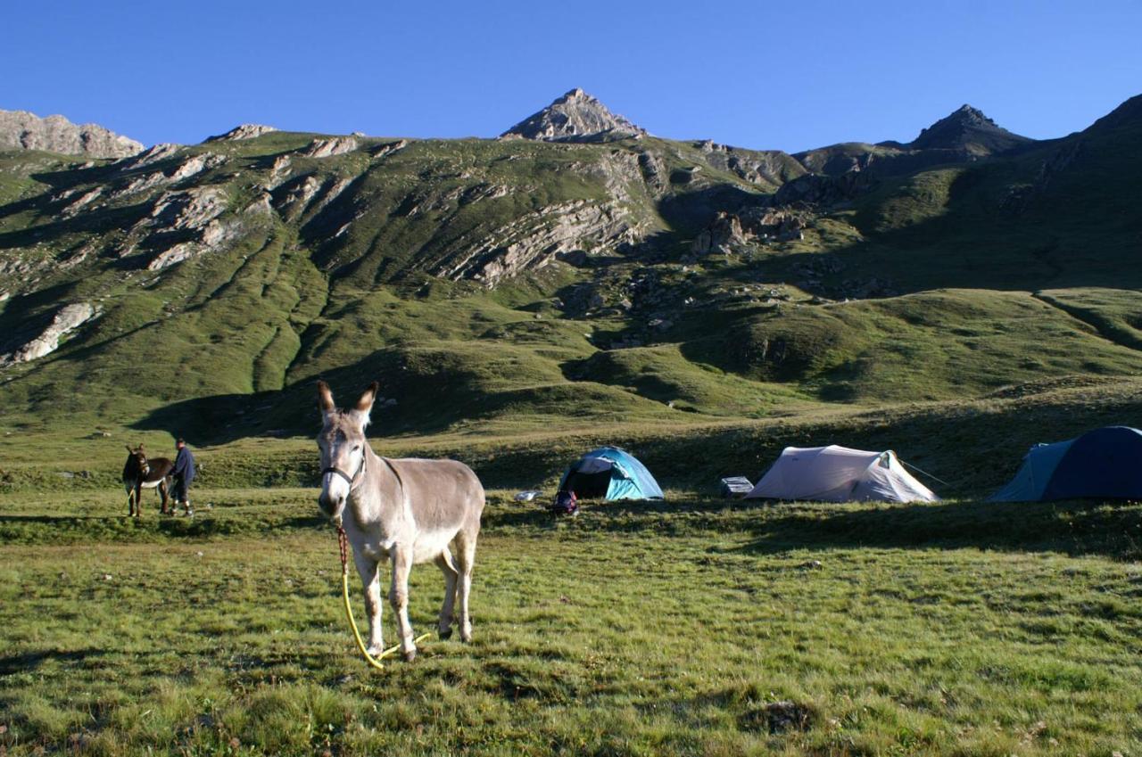 Auberge L'Estoilies Сен-Веран Экстерьер фото